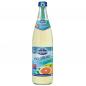 Preview: Brunnthaler Iso-Sport Grapefruit 20 x 0,5 l Mehrweg NRW-Schraubverschluss